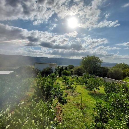 Guest House Xhaferaj Берат Екстер'єр фото