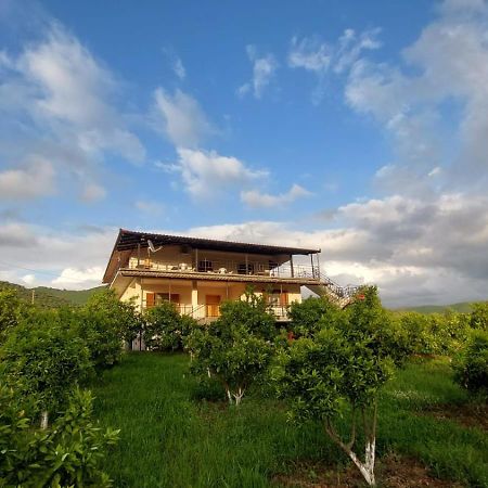 Guest House Xhaferaj Берат Екстер'єр фото